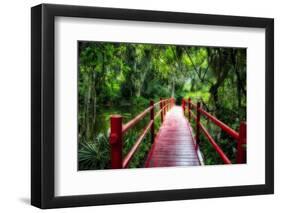 South Carolina Zen Path-George Oze-Framed Photographic Print