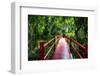 South Carolina Zen Path-George Oze-Framed Photographic Print