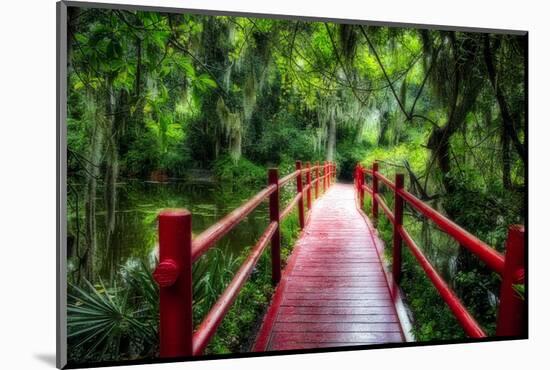 South Carolina Zen Path-George Oze-Mounted Photographic Print