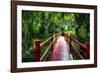 South Carolina Zen Path-George Oze-Framed Photographic Print