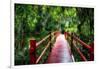 South Carolina Zen Path-George Oze-Framed Photographic Print