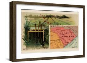 South Carolina-Arbuckle Brothers-Framed Art Print