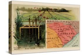 South Carolina-Arbuckle Brothers-Stretched Canvas