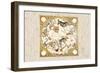 South Celestial Planisphere-Augustin Rythen-Framed Art Print