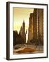 South Central Park, Manhattan, New York City, USA-Jon Arnold-Framed Photographic Print