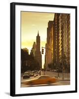 South Central Park, Manhattan, New York City, USA-Jon Arnold-Framed Photographic Print