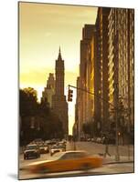 South Central Park, Manhattan, New York City, USA-Jon Arnold-Mounted Photographic Print