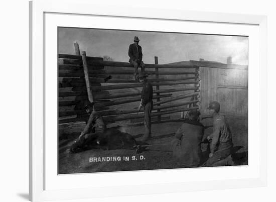 South Dakota - Branding Cattle Scene-Lantern Press-Framed Premium Giclee Print