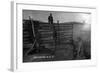 South Dakota - Branding Cattle Scene-Lantern Press-Framed Art Print