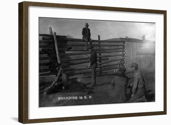 South Dakota - Branding Cattle Scene-Lantern Press-Framed Art Print