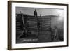 South Dakota - Branding Cattle Scene-Lantern Press-Framed Art Print