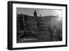 South Dakota - Branding Cattle Scene-Lantern Press-Framed Art Print