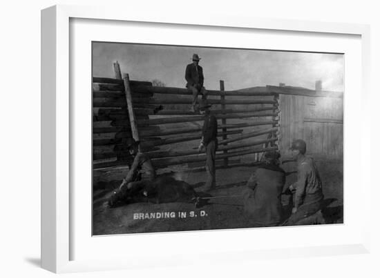 South Dakota - Branding Cattle Scene-Lantern Press-Framed Art Print