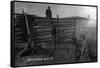 South Dakota - Branding Cattle Scene-Lantern Press-Framed Stretched Canvas