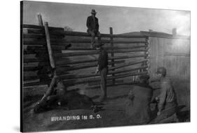 South Dakota - Branding Cattle Scene-Lantern Press-Stretched Canvas