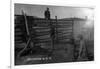 South Dakota - Branding Cattle Scene-Lantern Press-Framed Art Print
