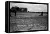 South Dakota - Calf Roping at Black Hills Round-Up-Lantern Press-Framed Stretched Canvas