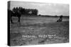 South Dakota - Calf Roping at Black Hills Round-Up-Lantern Press-Stretched Canvas