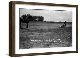 South Dakota - Calf Roping at Black Hills Round-Up-Lantern Press-Framed Art Print