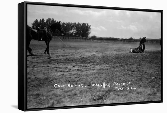 South Dakota - Calf Roping at Black Hills Round-Up-Lantern Press-Framed Stretched Canvas