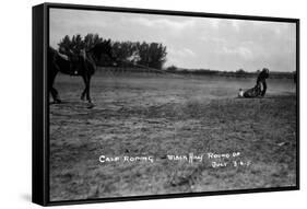 South Dakota - Calf Roping at Black Hills Round-Up-Lantern Press-Framed Stretched Canvas