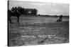 South Dakota - Calf Roping at Black Hills Round-Up-Lantern Press-Stretched Canvas