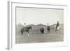 South Dakota: Cowboys-John C.H. Grabill-Framed Giclee Print