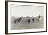 South Dakota: Cowboys-John C.H. Grabill-Framed Giclee Print