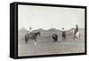 South Dakota: Cowboys-John C.H. Grabill-Framed Stretched Canvas
