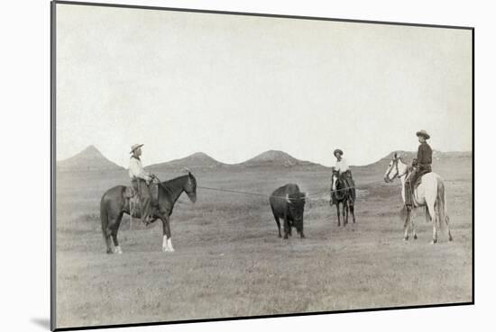 South Dakota: Cowboys-John C.H. Grabill-Mounted Giclee Print