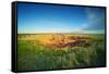 South Dakota Prairie-duallogic-Framed Stretched Canvas