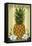 South Deerfield, Massachusetts - Colonial Pineapple-Lantern Press-Framed Stretched Canvas