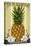 South Deerfield, Massachusetts - Colonial Pineapple-Lantern Press-Stretched Canvas