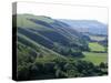 South Downs, UK-Martin Bond-Stretched Canvas
