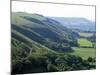 South Downs, UK-Martin Bond-Mounted Photographic Print