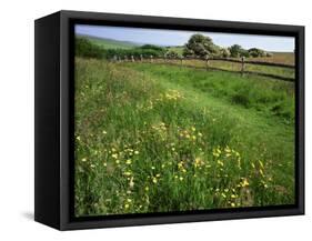 South Downs Way Near East Dean, East Sussex, England, United Kingdom-Kathy Collins-Framed Stretched Canvas