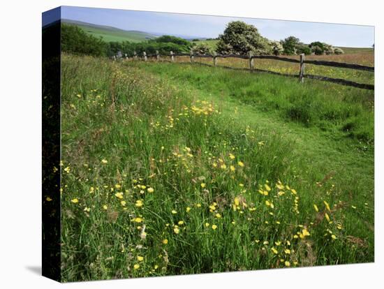 South Downs Way Near East Dean, East Sussex, England, United Kingdom-Kathy Collins-Stretched Canvas