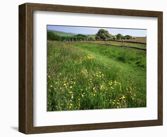 South Downs Way Near East Dean, East Sussex, England, United Kingdom-Kathy Collins-Framed Photographic Print