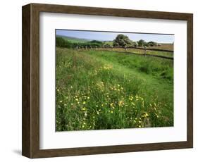 South Downs Way Near East Dean, East Sussex, England, United Kingdom-Kathy Collins-Framed Photographic Print