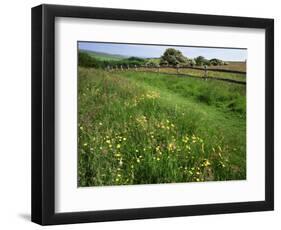 South Downs Way Near East Dean, East Sussex, England, United Kingdom-Kathy Collins-Framed Photographic Print