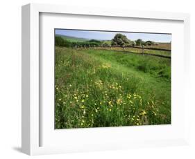 South Downs Way Near East Dean, East Sussex, England, United Kingdom-Kathy Collins-Framed Photographic Print