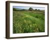 South Downs Way Near East Dean, East Sussex, England, United Kingdom-Kathy Collins-Framed Photographic Print