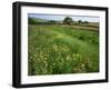 South Downs Way Near East Dean, East Sussex, England, United Kingdom-Kathy Collins-Framed Photographic Print