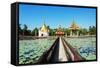 South East Asia, Myanmar, Bago, Lakeside Pagodas-Christian Kober-Framed Stretched Canvas