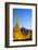 South East Asia, Myanmar, Yangon, Sule Paya Pagoda-Christian Kober-Framed Photographic Print