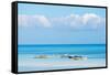 South East Asia, Philippines, the Visayas, Cebu, Bantayan Island, Paradise Beach-Christian Kober-Framed Stretched Canvas