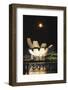 South East Asia, Singapore, Art Science Museum and Full Moon-Christian Kober-Framed Photographic Print