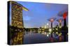 South East Asia, Singapore, South East Asia, Singapore, Gardens by the Bay and Marina Bay Sands-Christian Kober-Stretched Canvas