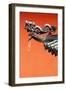 South East Asia, Singapore, Thian Hock Keng Temple, Detail of Dragon Sculpture-Christian Kober-Framed Photographic Print