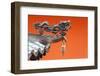 South East Asia, Singapore, Thian Hock Keng Temple, Detail of Dragon Sculpture-Christian Kober-Framed Photographic Print